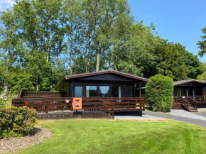 Отель Birch Lodge 21 with Hot Tub Newton Stewart  Ньютон Стюарт